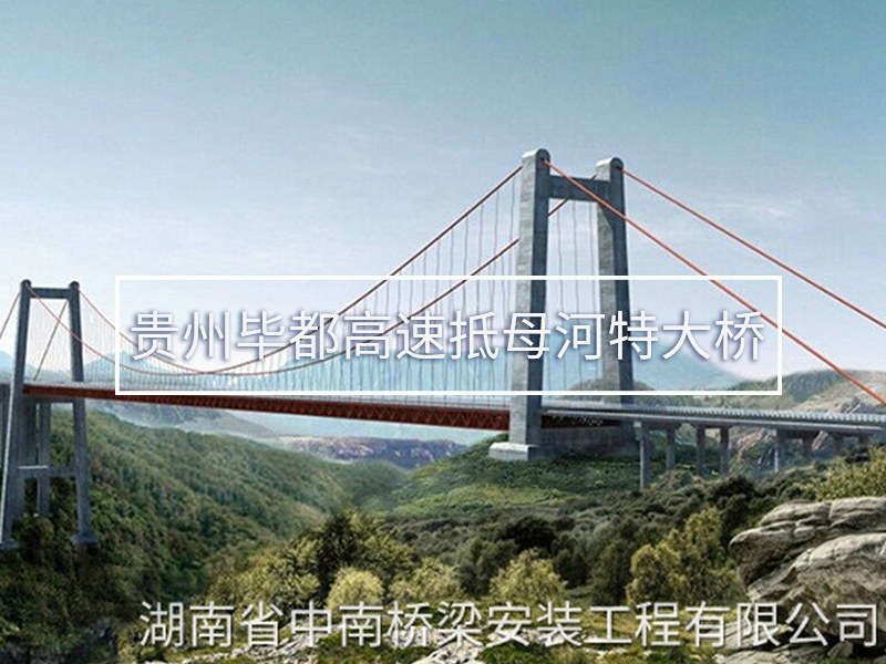 貴州畢都高速抵母河特大橋 貴州畢都高速抵母河特大橋